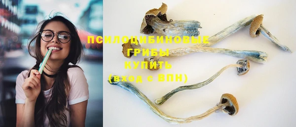 соль ск Переславль-Залесский