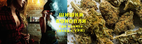 соль ск Переславль-Залесский