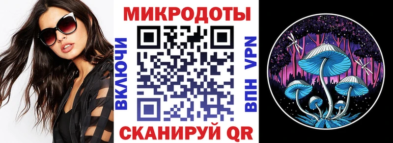 Псилоцибиновые грибы мицелий Лениногорск