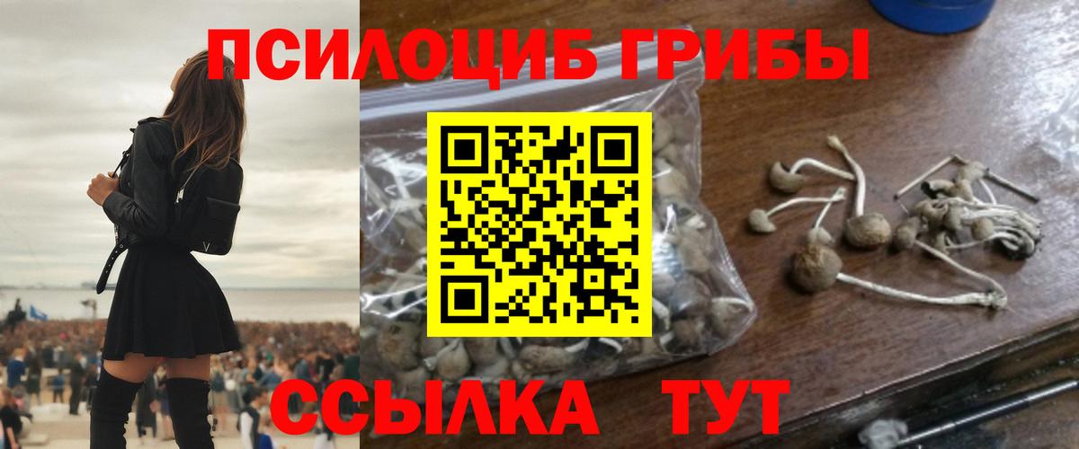 даркнет сайт  Псилоцибиновые грибы MAGIC MUSHROOMS  Галлюциногенные грибы GOLDEN TEACHER  Вход с VPN  Лениногорск 